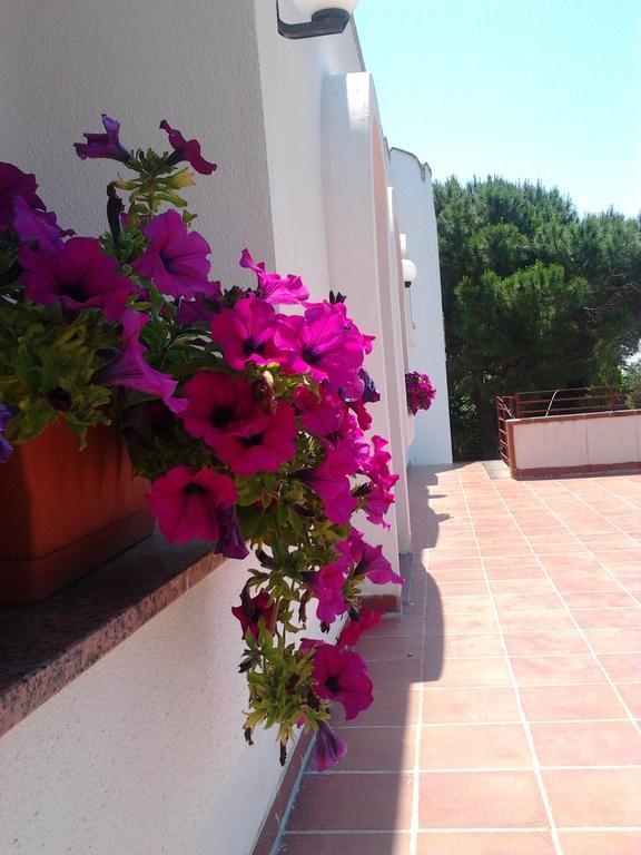B&B Masseria Nova Torre San Giovanni Exterior foto